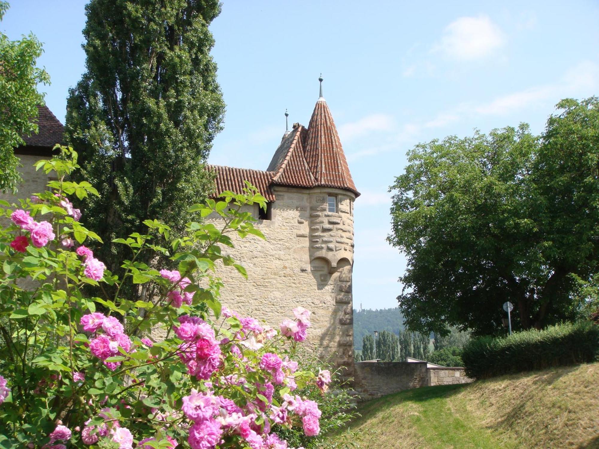 Weingut Gaestehaus Weigand Iphofen Exterior photo