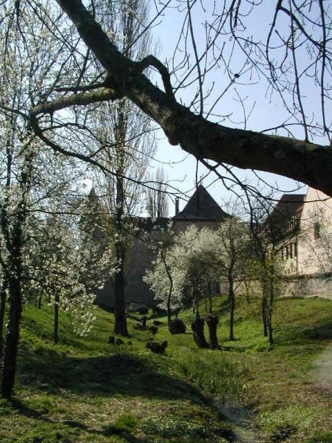 Weingut Gaestehaus Weigand Iphofen Exterior photo